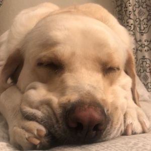 Meet your Posher, Jared